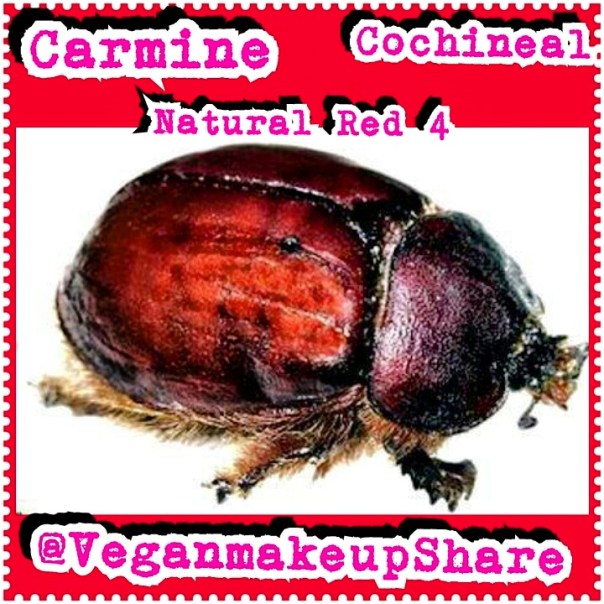 IMG_20140918_213106.jpg image