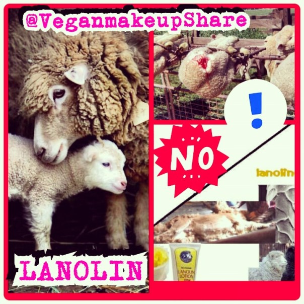 IMG_20140923_023235.jpg image